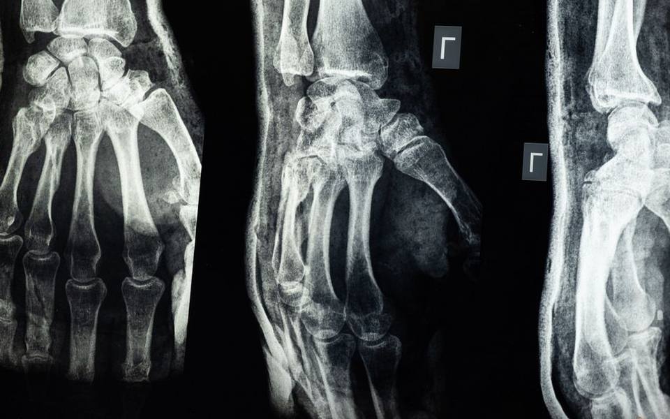 Clinical Diagnostics and What to Expect at the Vet