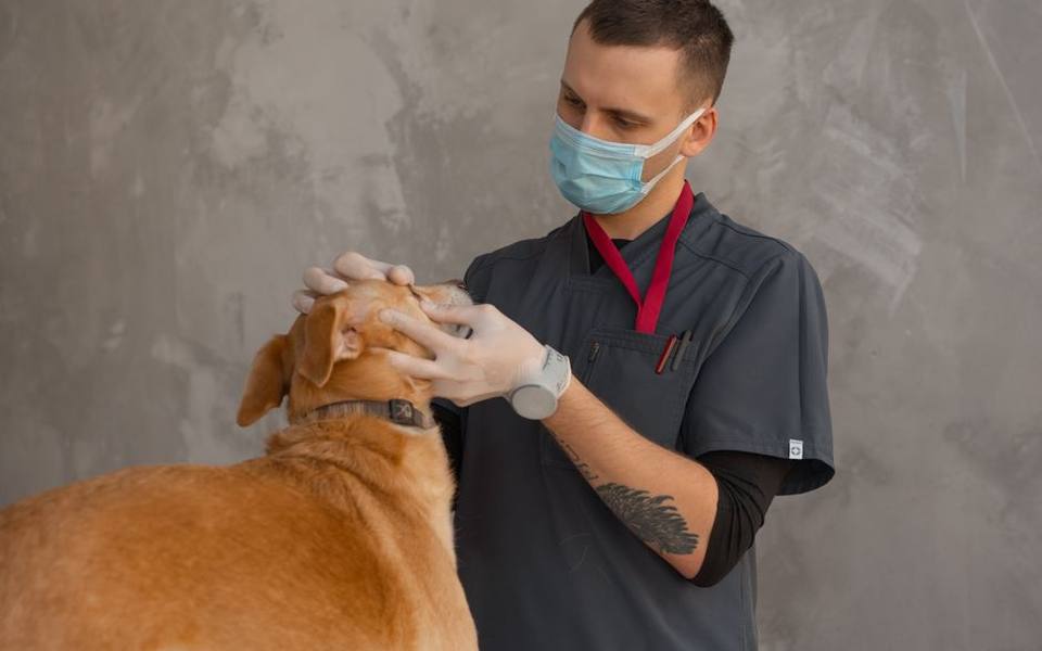Locating Care Before an Urgent Situation Develops