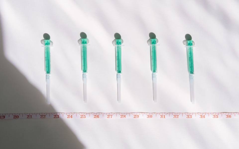Emergency syringe feeding and herbivore recovery nutrition