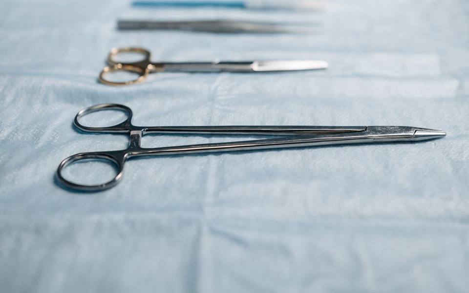 Why Rabbit Anesthesia Requires Specialized Investment