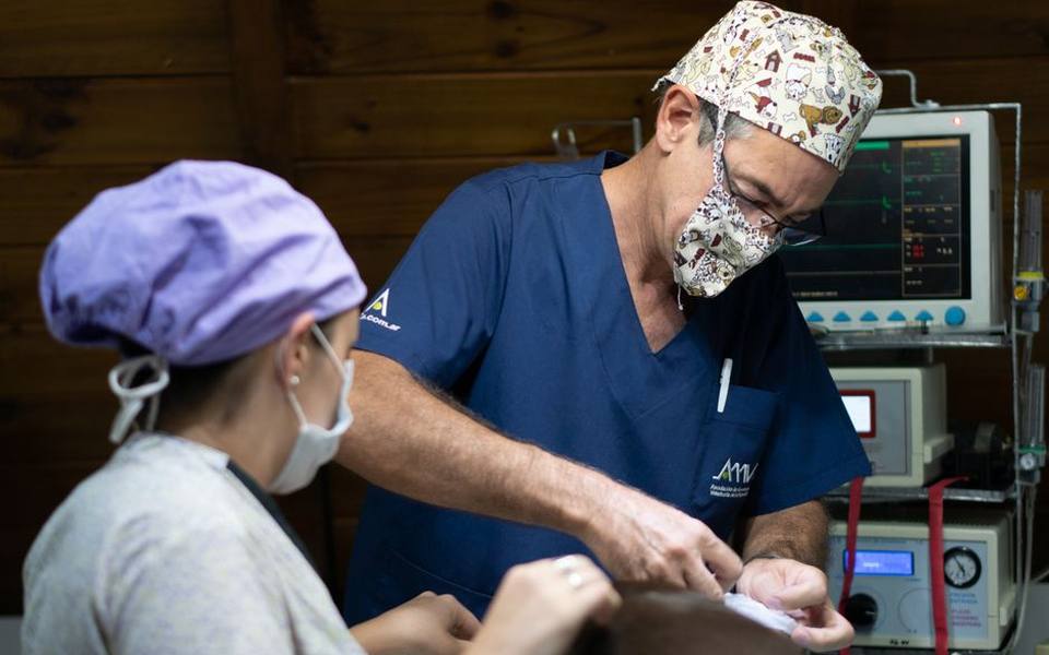 Why Rabbit Surgery Differs from Traditional Pet Care