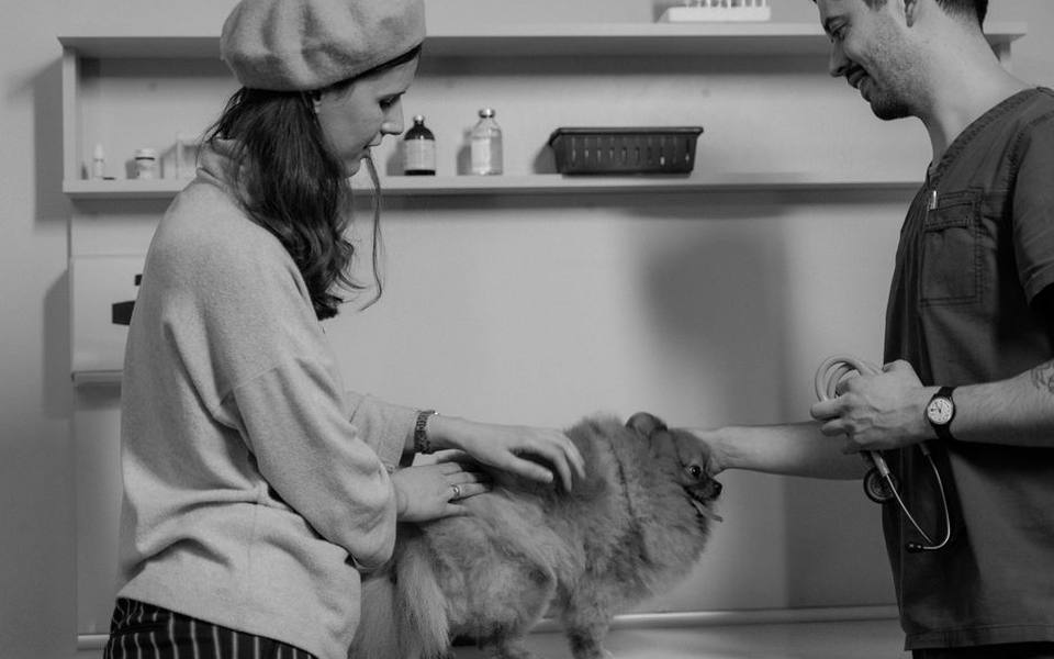 Recognizing Illness and Medical Needs